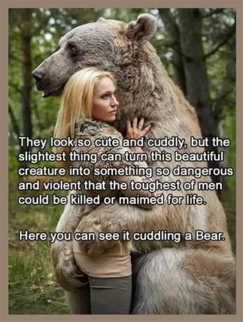 bear man meme|best man or bear meme.